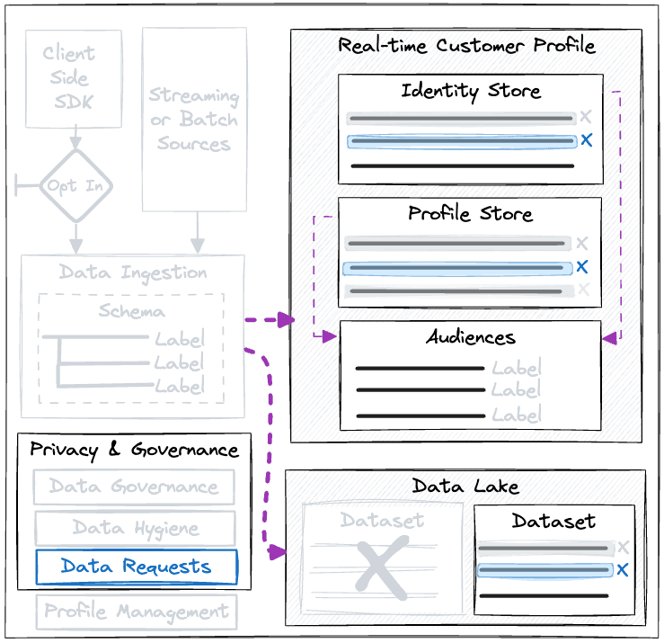 Adobe Experience Platform Privacy Service
